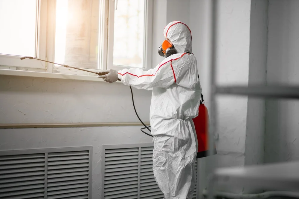 Professional mold remediation services in Hudson, FL